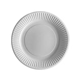 WHITE paper plate